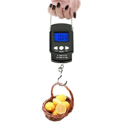 Digital_Electronic_Hanging_Scales_50kg10-Non_Brand-a882e-430005